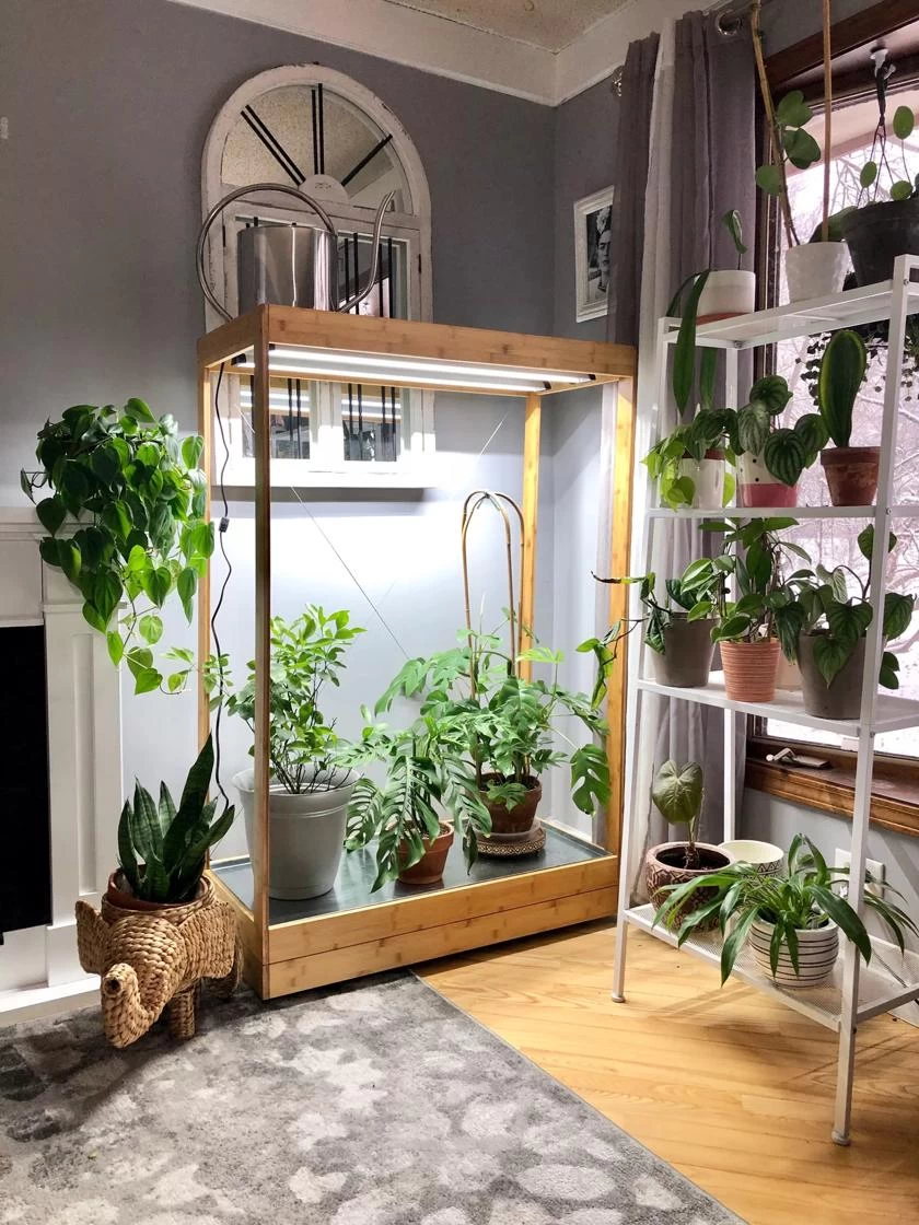 Tall Bamboo LED Grow Light Garden 4 Tall Bamboo LED Grow Light Garden - Image 4