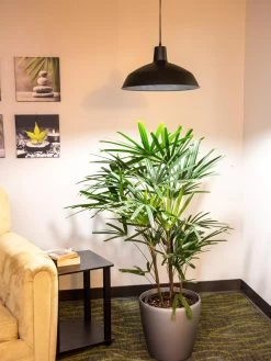 Barnyard Pendant LED Grow Light -Outdoor Garden Care Shop 8598025 0256