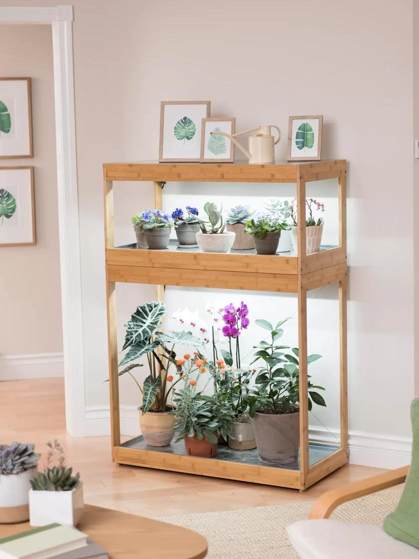 Bamboo Home LED Grow Light Garden 3 Bamboo Home LED Grow Light Garden - Image 3