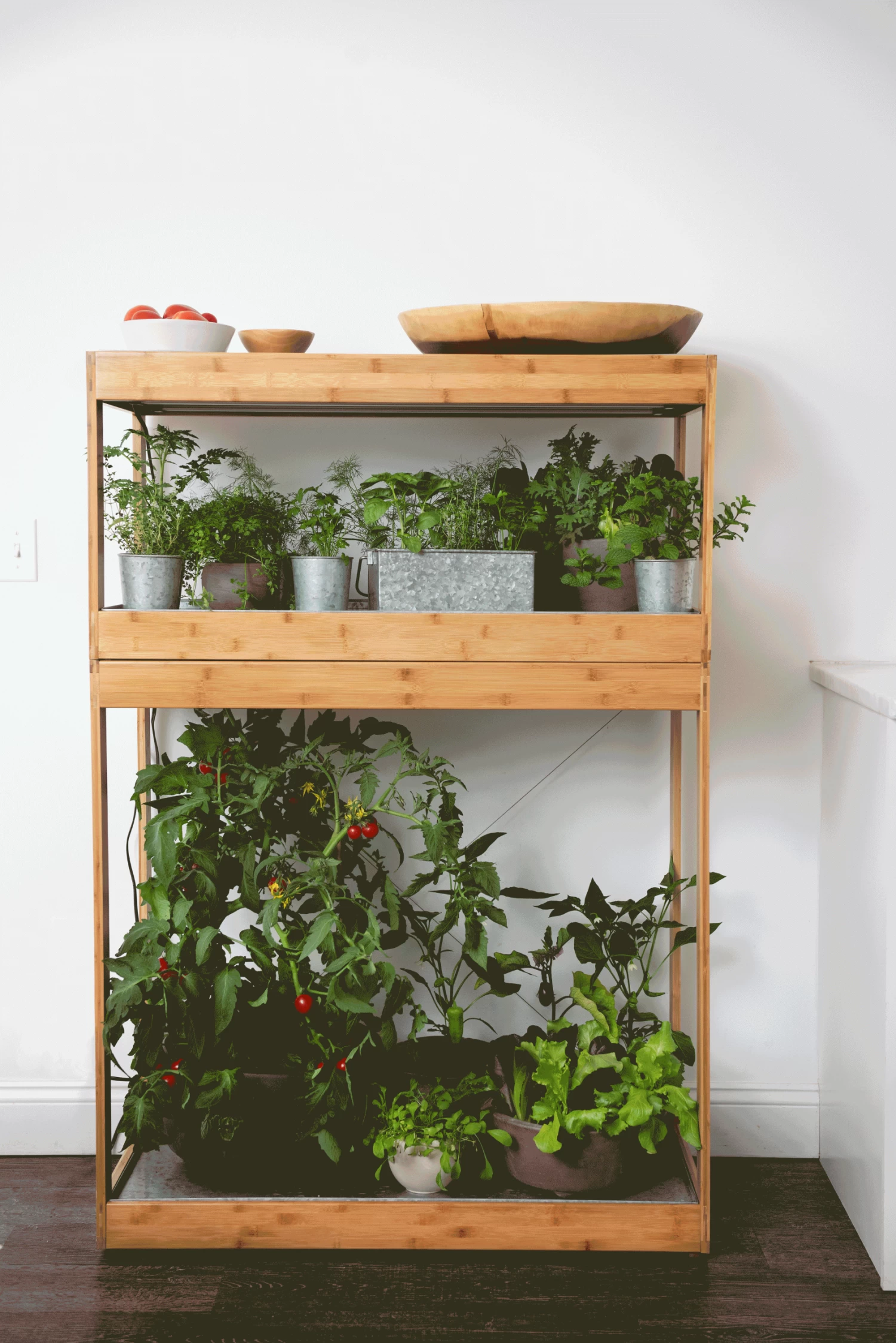 Bamboo Home LED Grow Light Garden 5 Bamboo Home LED Grow Light Garden - Image 5