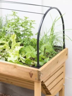 VegTrug® Mini Wallhugger Planter With Cover 8 VegTrug® Mini Wallhugger Planter With Cover -Outdoor Garden Care Shop 8598339 4004 tif