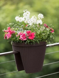 Weave Round Railing Planter, 11" 7 Weave Round Railing Planter, 11" -Outdoor Garden Care Shop 8598370 8584 tif