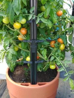 Gardener’s Victory Self-Watering Planter With Support System -Outdoor Garden Care Shop 8598384 01EMP tif 1