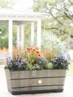 VegTrug™ Trough Planters 14 VegTrug™ Trough Planters -Outdoor Garden Care Shop 8598402 08880 tif