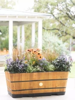 VegTrug™ Trough Planters 12 VegTrug™ Trough Planters -Outdoor Garden Care Shop 8598402 8880 tif