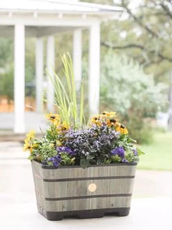 VegTrug™ Trough Planters 15 VegTrug™ Trough Planters -Outdoor Garden Care Shop 8598403 08876 tif