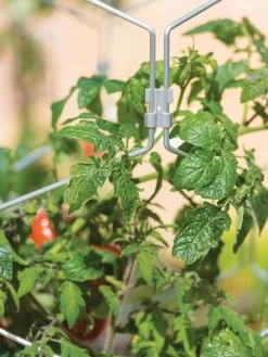 Gardener's Vertex Lifetime Tomato Cage -Outdoor Garden Care Shop 8598426 0011 tif