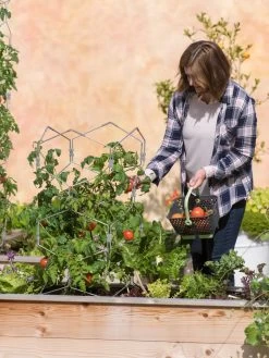 Gardener's Vertex Lifetime Tomato Cage -Outdoor Garden Care Shop 8598426 0026 tif