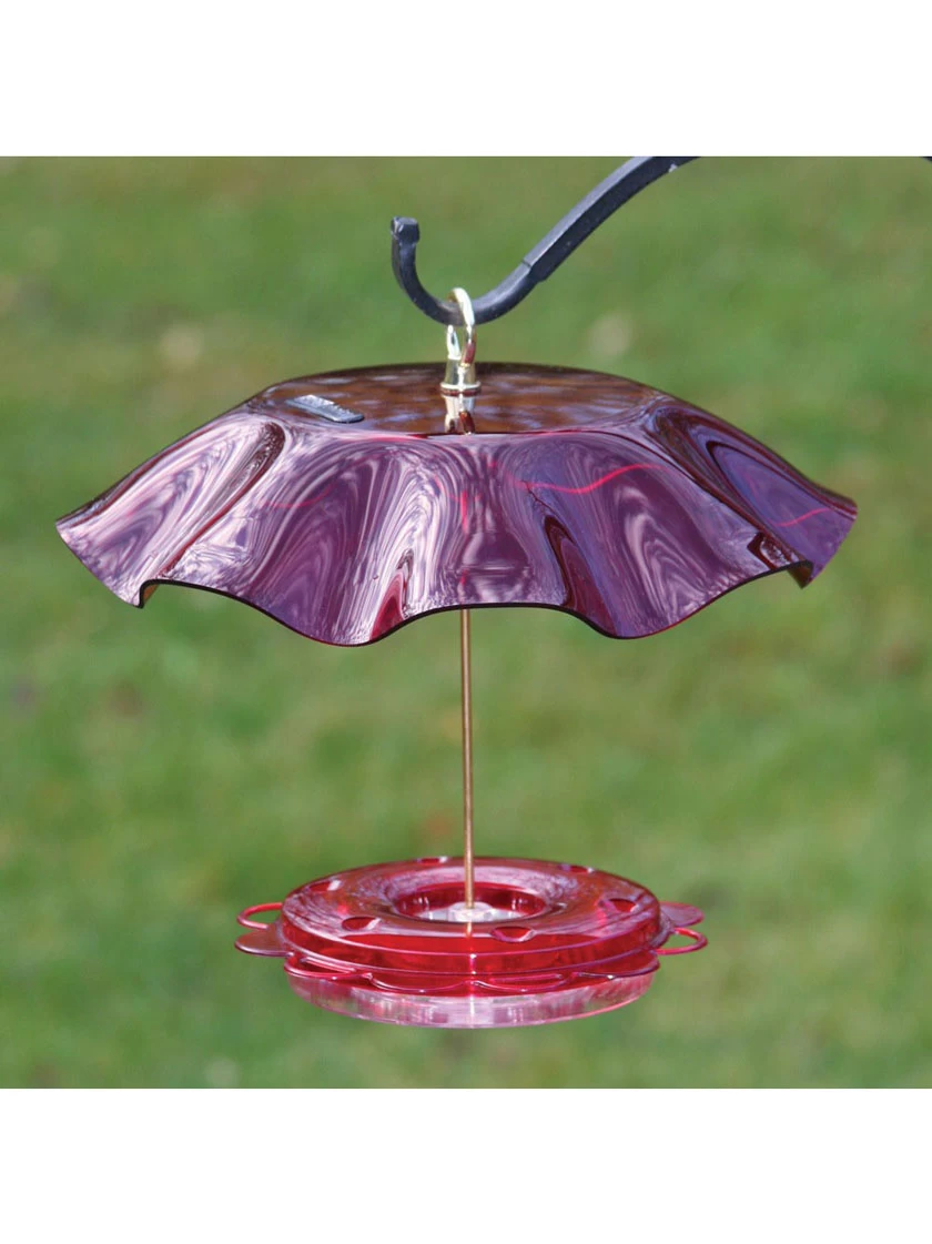 Birds Choice™ Hummingbird Nectar Feeder With Weather Guard Kit 3 Birds Choice™ Hummingbird Nectar Feeder With Weather Guard Kit - Image 3