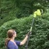 Sun Joe® Electric Telescoping Pole Hedge Trimmer, 4 Amp