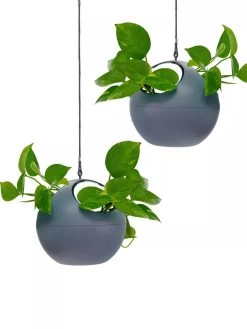 Exaco Euro Hanging Planters, Set Of 2 -Outdoor Garden Care Shop 8599179 04V tif