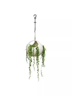 Exaco Euro Hanging Planters, Set Of 2 -Outdoor Garden Care Shop 8599179 06V tif