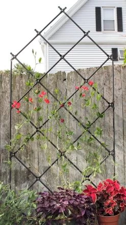 Achla Designs Freestanding Lattice Trellis