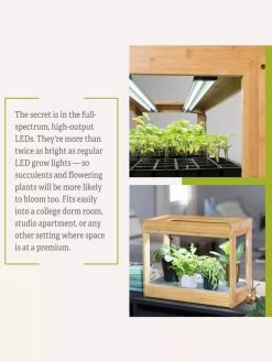 Bamboo Mini LED Grow Light Garden 18 Bamboo Mini LED Grow Light Garden -Outdoor Garden Care Shop 8599624 06