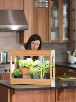 Bamboo Mini LED Grow Light Garden 13 Bamboo Mini LED Grow Light Garden -Outdoor Garden Care Shop 8599624 12532 tif