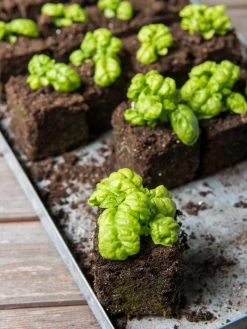 Soil Blocker, 4 Cell -Outdoor Garden Care Shop 8599790 1057 tif