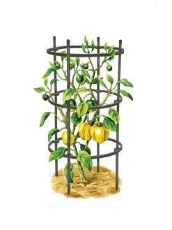 Titan Pepper Eggplant Cages, Set Of 3