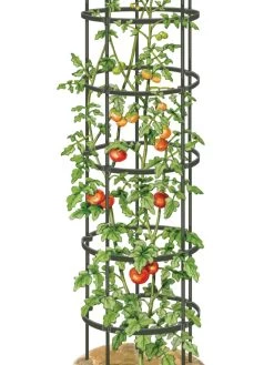 Titan Tall Tomato Cages, Set Of 3 -Outdoor Garden Care Shop 8599860 0002 art tif