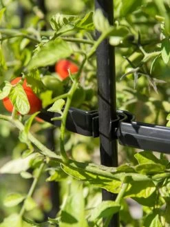 Titan Tomato Cages, Set Of 3 -Outdoor Garden Care Shop 8599861 0079 tif 1