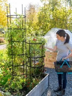 Titan Tomato Cages, Set Of 3 -Outdoor Garden Care Shop 8599861 0114 tif