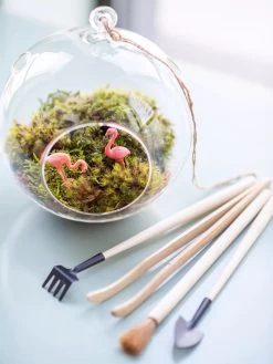 Terrarium Tools, Set Of 4 5 Terrarium Tools, Set Of 4 -Outdoor Garden Care Shop 8599884 01V tif