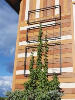 Exeter Wall Trellis -Outdoor Garden Care Shop 8600049 7121 tif