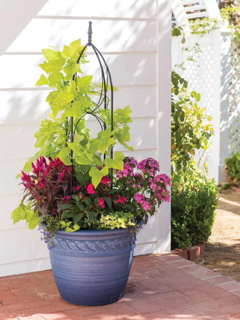Verona Obelisk 1 Verona Obelisk