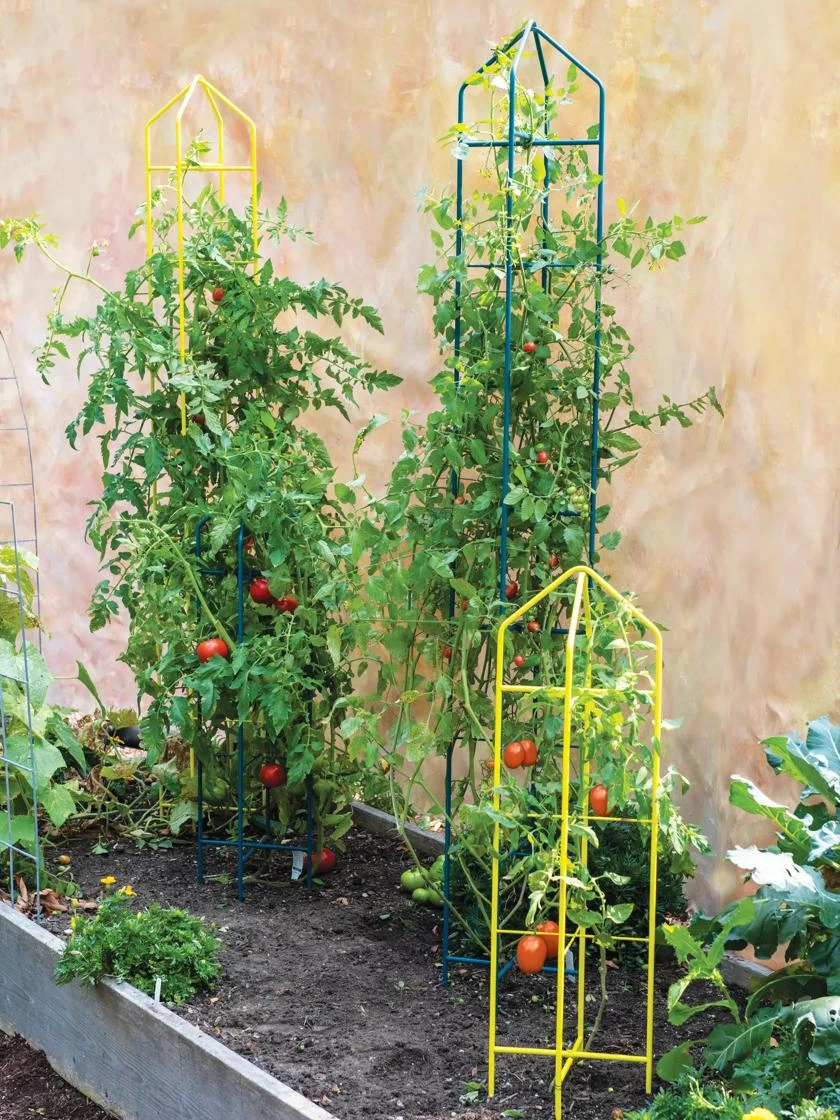 Zenith Folding Garden Supports, Set Of 2 1 Zenith Folding Garden Supports, Set Of 2