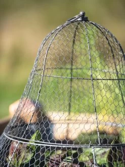 Chicken Wire Cloche With Extension 22 Chicken Wire Cloche With Extension -Outdoor Garden Care Shop 8600116 0607 tif