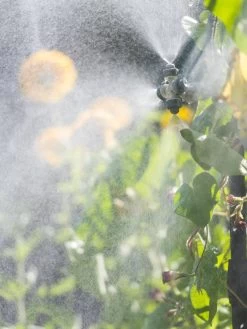 Landscape 4-Way Cooling Mist Kit, 50' -Outdoor Garden Care Shop 8600154 0695 tif