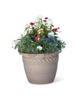 Cortina Self-Watering Planters 12 Cortina Self-Watering Planters -Outdoor Garden Care Shop 8600315 19839 tif