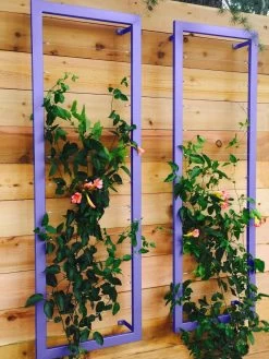 Ina Modern Wall Trellis Sr. -Outdoor Garden Care Shop 8600510 07V tif
