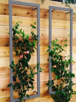Ina Modern Wall Trellis Sr. -Outdoor Garden Care Shop 8600510 08V jpg