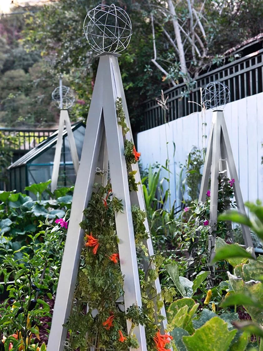 Akoris Garden Tuteur Jr. 5 Akoris Garden Tuteur Jr. - Image 5