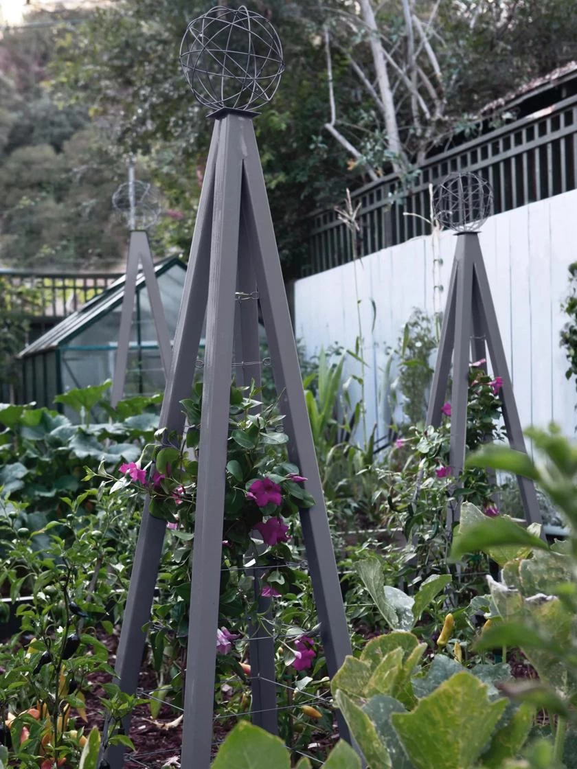 Akoris Garden Tuteur Jr. 2 Akoris Garden Tuteur Jr. - Image 2