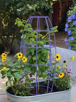 Toki Bubble Trellis -Outdoor Garden Care Shop 8600520 02V tif