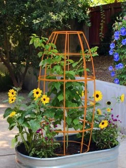 Toki Bubble Trellis -Outdoor Garden Care Shop 8600520 03V tif