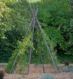 Annabel Tipi Trellis -Outdoor Garden Care Shop 8600521 07V jpg
