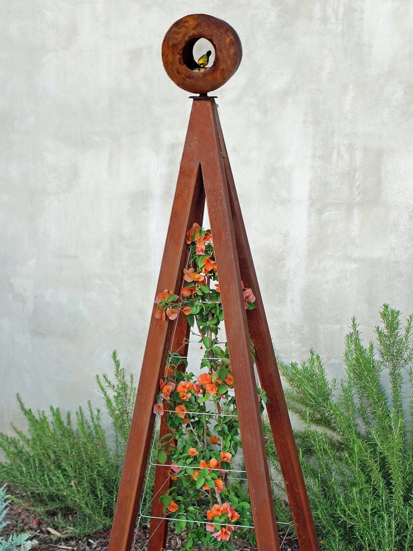 Bird Cafe + Akoris Garden Tuteur Sr. 1 Bird Cafe + Akoris Garden Tuteur Sr.