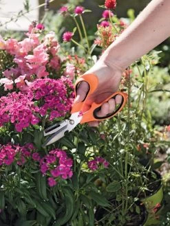Gardener's Multi Purpose Scissors -Outdoor Garden Care Shop 8608655 19551 tif