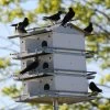 Coates Purple Martin House 3-Floor