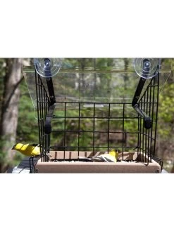Birds Choice Window Mount Bird Feeder Kits 10 Birds Choice Window Mount Bird Feeder Kits -Outdoor Garden Care Shop 8608818 01v