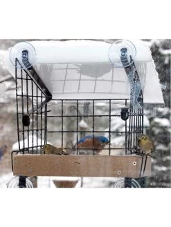 Birds Choice Window Mount Bird Feeder Kits 11 Birds Choice Window Mount Bird Feeder Kits -Outdoor Garden Care Shop 8608818 06v