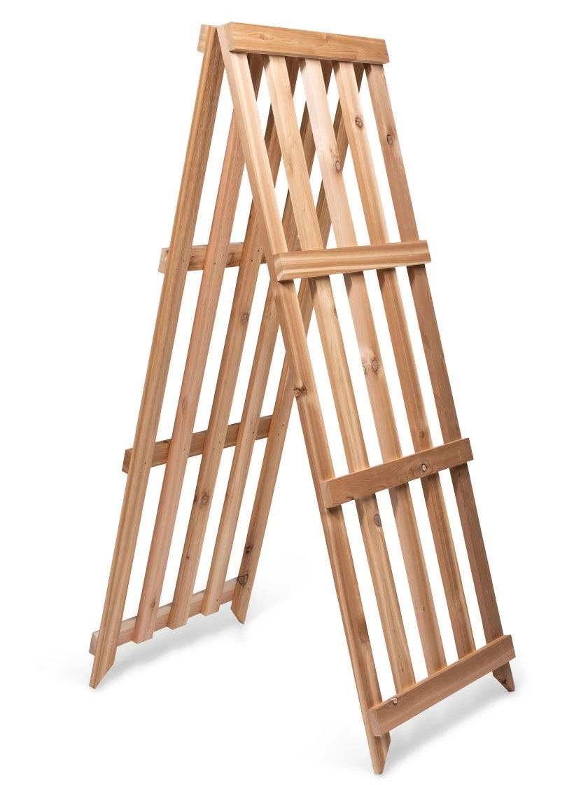 Cedar Shrub Guard 7 Cedar Shrub Guard - Image 7