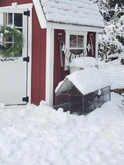 Chicken Wire Crop Coop -Outdoor Garden Care Shop 8609080 03IN tif