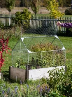 Chicken Wire Crop Coop -Outdoor Garden Care Shop 8609080 4024