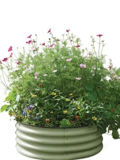 Birdies™ Round Metal Raised Bed -Outdoor Garden Care Shop 8609150 006525 tif