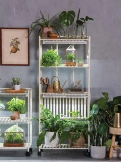 Oslo 4-Tier LED Grow Light Garden -Outdoor Garden Care Shop 8609188 4118 tif