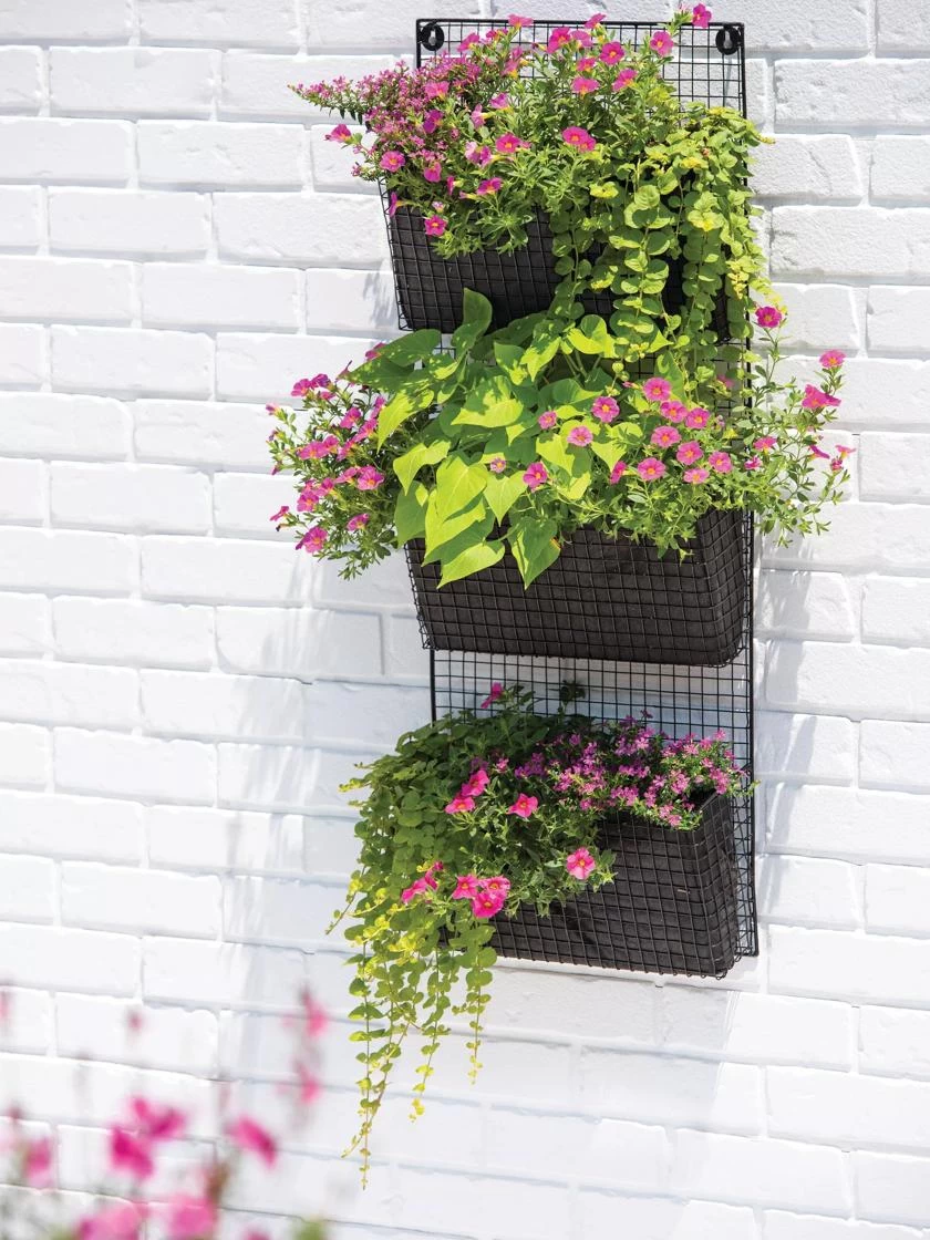 Wire Wall Pockets Vertical Gardens 1 Wire Wall Pockets Vertical Gardens
