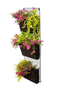 Wire Wall Pockets Vertical Gardens 9 Wire Wall Pockets Vertical Gardens -Outdoor Garden Care Shop 8609201 0407 tif